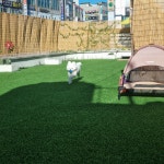 호다다 애견 호텔