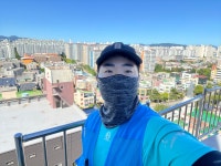노프로 산업 광주 코킹 실리콘 방충망 샷시수리 펫도어