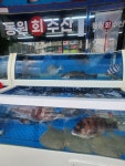 동원회수산