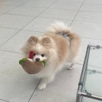 포에버위드유 살롱