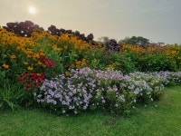 [달작 민박] 동화같은 감성민박