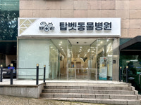 탑벳 동물병원