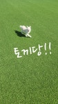 멍해피 애견유치원&호텔