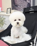 예쁘개해줄개
