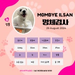 일산애견호텔 애견유치원 맘바이 일산점