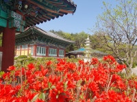 천태산문백련사