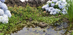 [달작 민박] 동화같은 감성민박