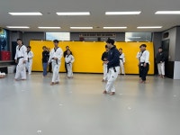 용인대금메달태권도