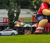 명보청과