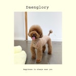 댕로리 애견미용실