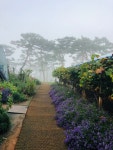 송산포도 원혜농원