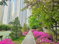 헬리오크로바공인중개사사무소