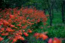 돌낭예술원