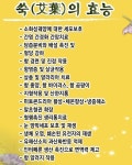 명품오행 웰빙 쑥 테라피