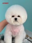 오드리 펫