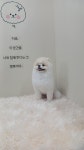 멍