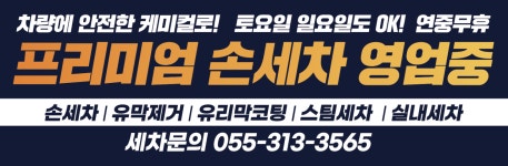 스타손세차