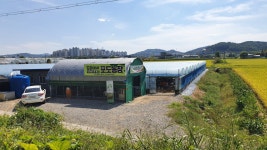 도윤이네포도농장