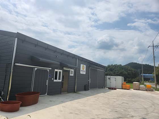 방굿웃는농업회사법인 사진