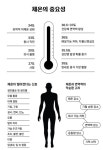 명품오행 웰빙 쑥 테라피