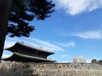 동대문공인중개사사무소