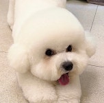 두리그루밍