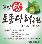 중앙탑토종다래농원