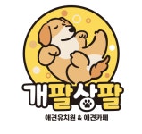 개팔상팔 애견카페 애견유치원