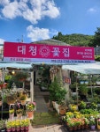 대청꽃집
