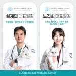 24시 루시드동물메디컬센터 미아 본점
