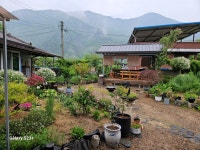 구화헌