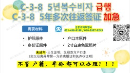 금강국제여행사