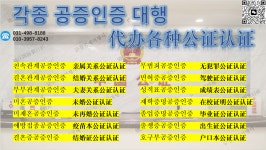 금강국제여행사