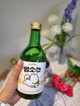 펫소울메이트