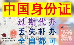 금강국제여행사