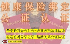 금강국제여행사