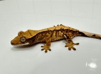 예쁜동물나라수족관 대전점