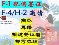 금강국제여행사