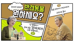멍냥캉스