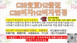 금강국제여행사