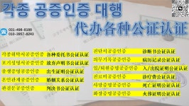 금강국제여행사