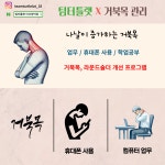 팀터틀랫 마산양덕점