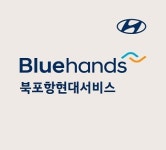 블루핸즈 북포항현대서비스