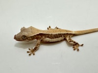 예쁜동물나라수족관 대전점