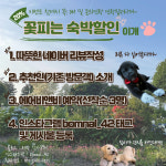 꽃피는봄날 펜션
