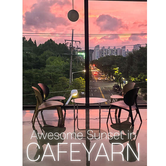 카페얀 사진