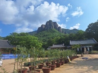 영신암처녀보살