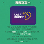 라라퍼피 애견 반려견 유치원