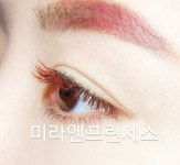 신논현속눈썹 미라앤프린세스 강남점