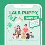 라라퍼피 애견 반려견 유치원
